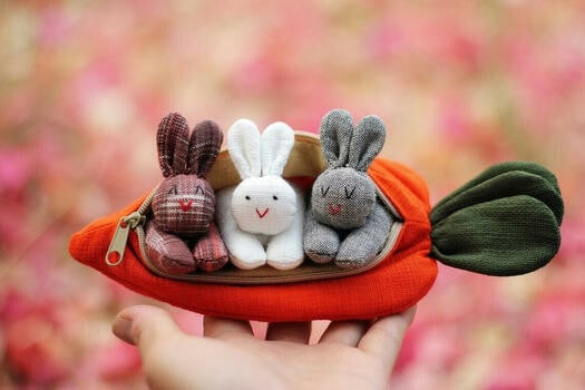 π Hide-and-Seek Bunnies in Carrot Pouch