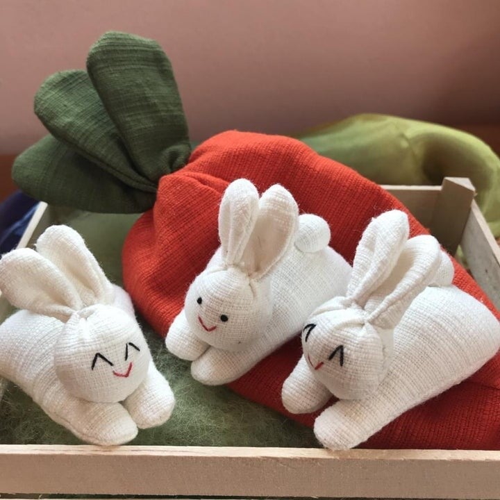 π Hide-and-Seek Bunnies in Carrot Pouch