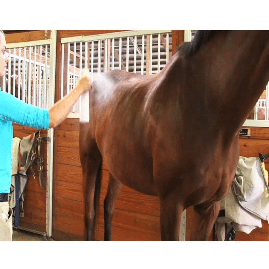 Equine Sprinkler Sprayer