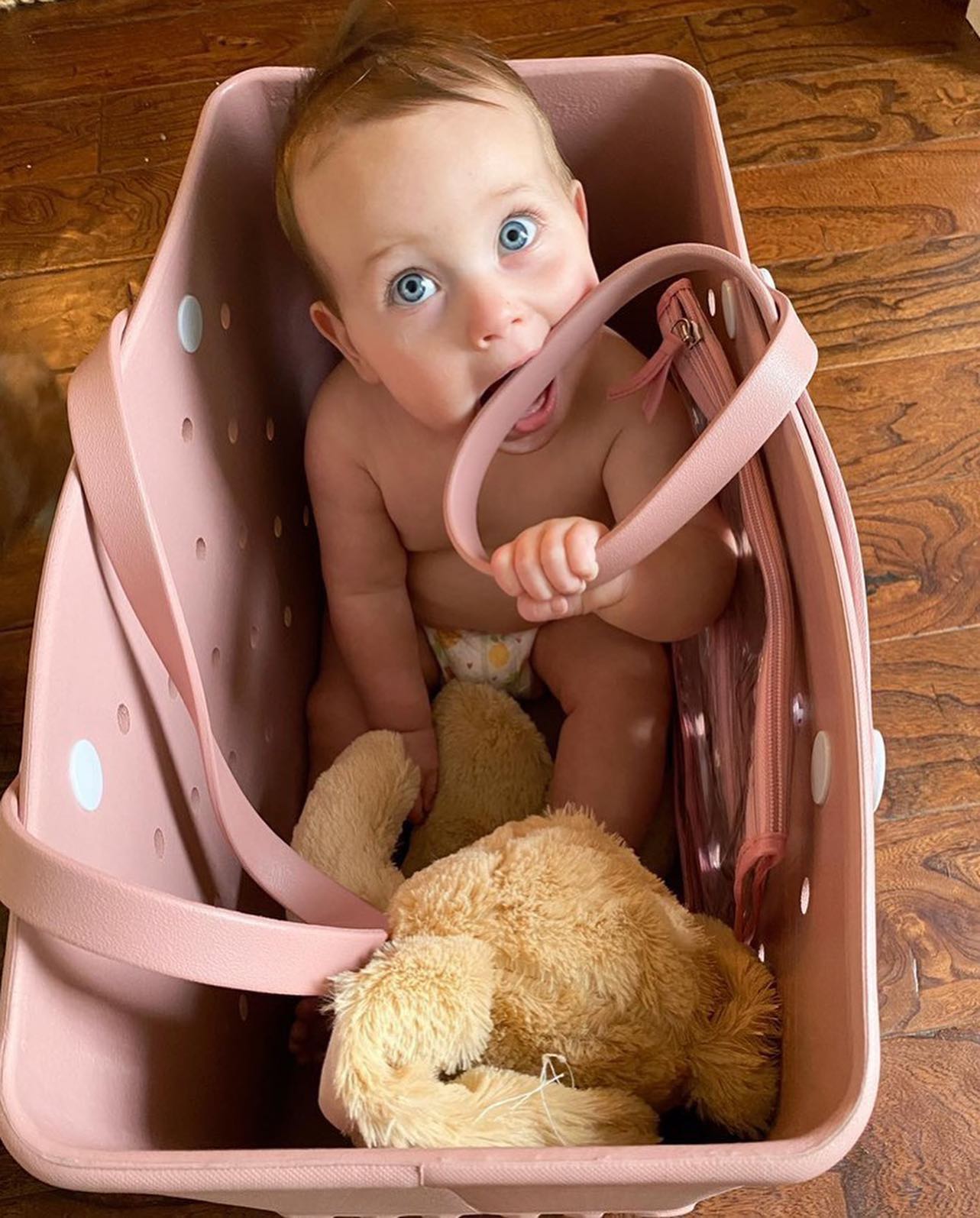 ☀️Mummy Bag - Large Waterproof Washable Tote Bag