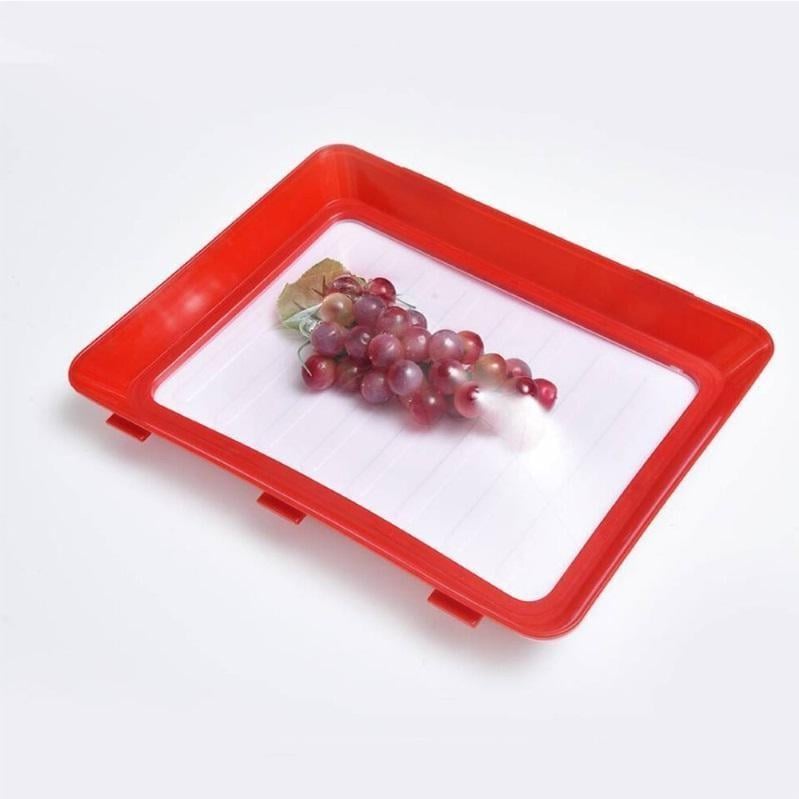 🔥Environmentally Friendly Design - Reusable Food Preserving Tray🥰