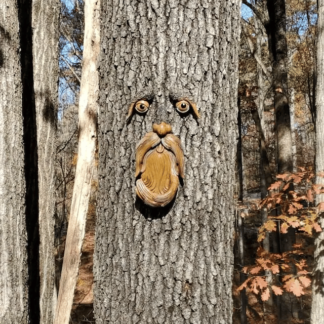 🌳Unique Bird Feeders for Outdoors-Old Man Tree Art