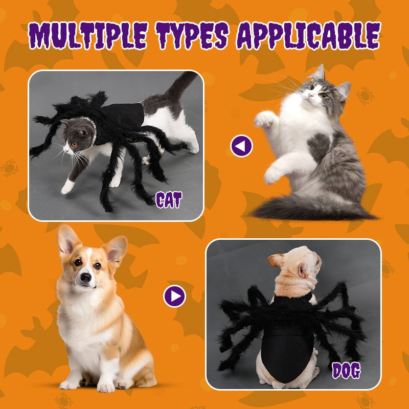 Creative Festival Spider-Shaped Pet Dog Clothes