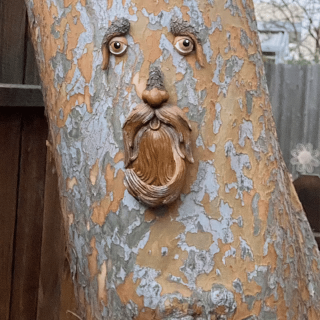 🌳Unique Bird Feeders for Outdoors-Old Man Tree Art