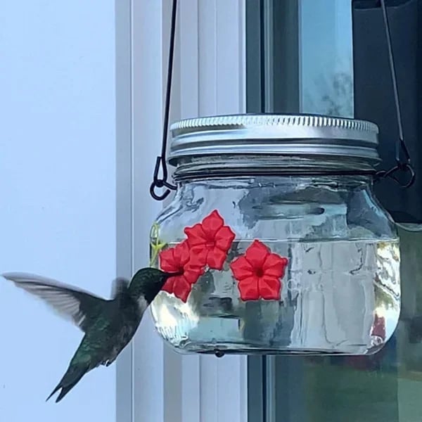 💗Beautiful Mason Jar Hummingbird Feeder w/Three Ports