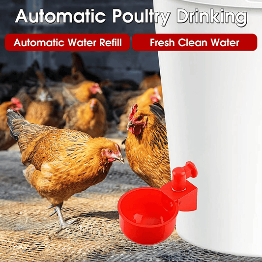 6PCS/SET Automatic Poultry Drinking Bowl
