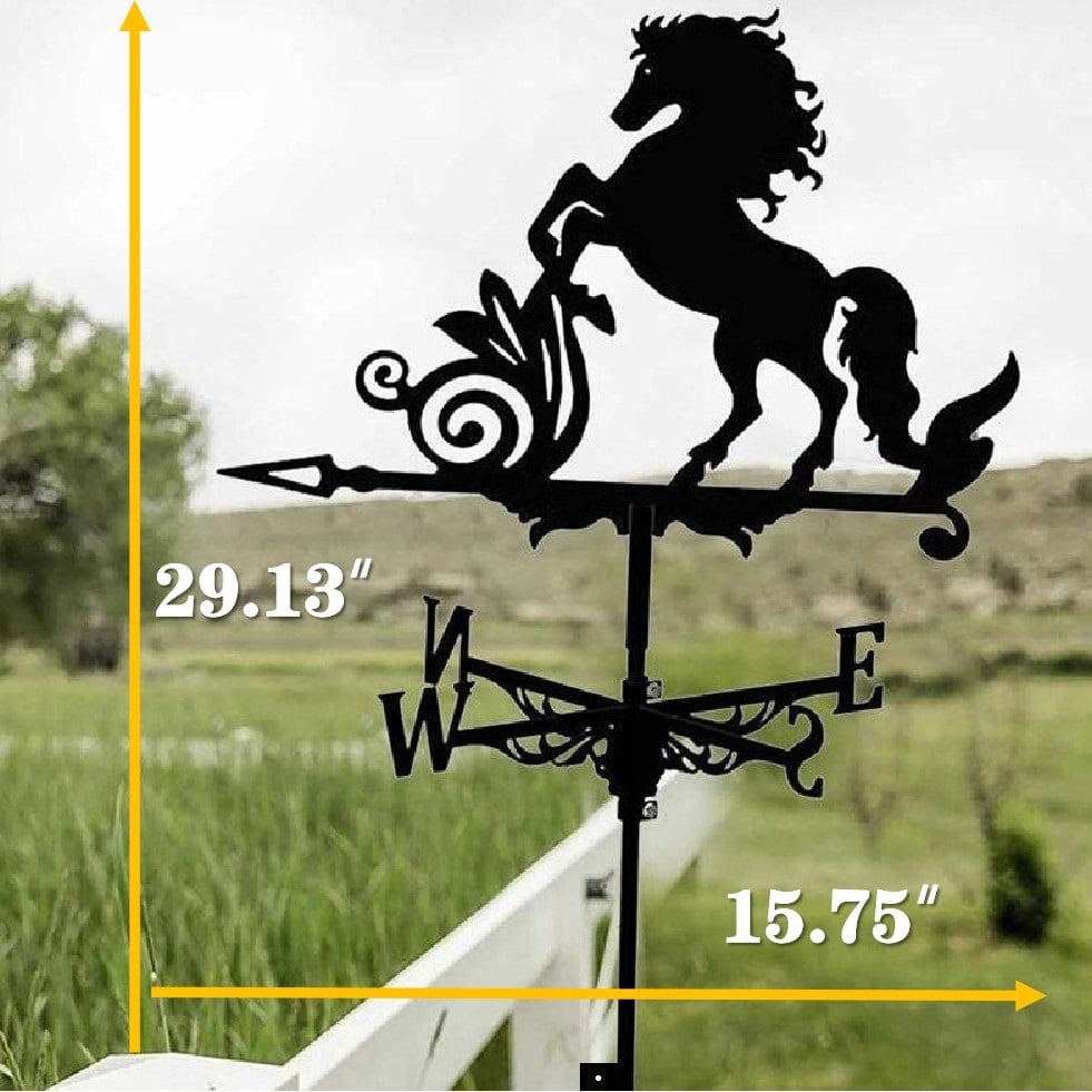 🏠Stainless Steel Weathervane