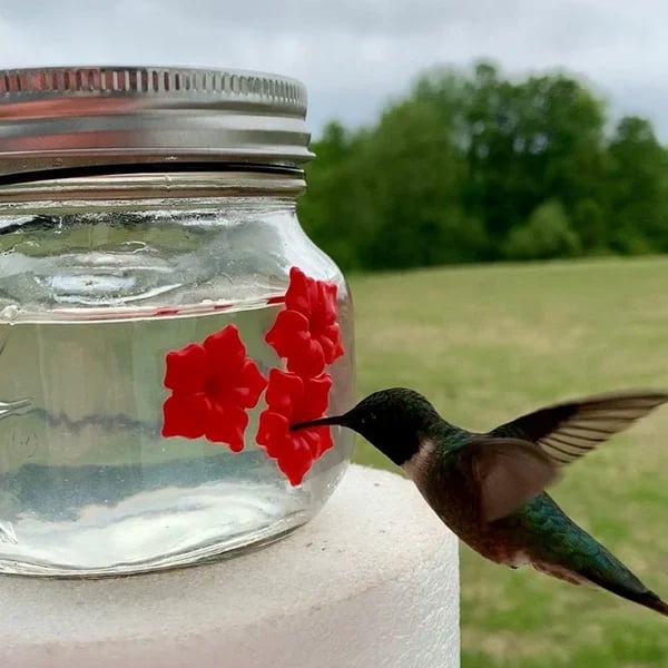 💗Beautiful Mason Jar Hummingbird Feeder w/Three Ports