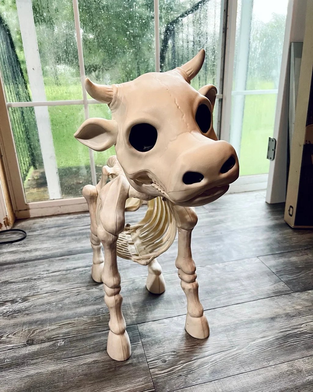 🔥 Cow & Horse Skeleton Halloween Decorative Prop