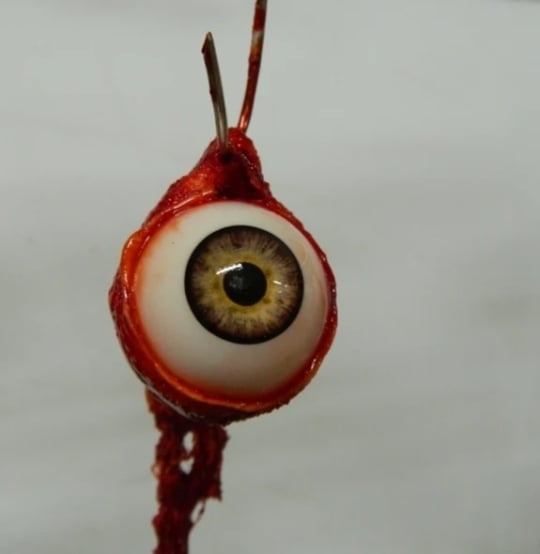 👁️Realistic human eyeball prop