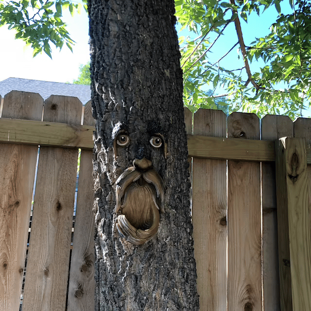 🌳Unique Bird Feeders for Outdoors-Old Man Tree Art