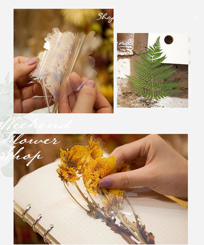 48 Pcs Big Size Dried Flowers Stickers Set