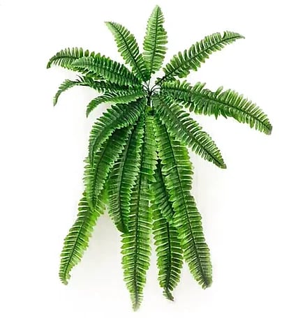 ✨UV Resistant Lifelike Artificial Boston Fern