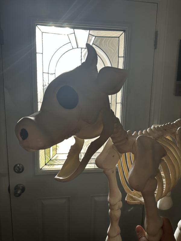 🔥 Cow & Horse Skeleton Halloween Decorative Prop