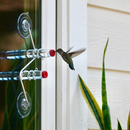 🔥49% OFF🔥Geometric Window Hummingbird Feeder🐦