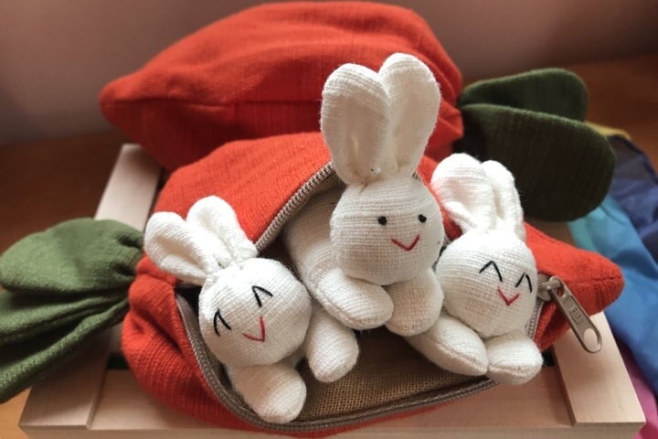 🎁 Hide-and-Seek Bunnies in Carrot Pouch