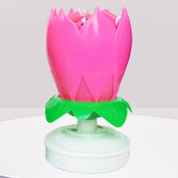 Magic Flower Birthday Candle