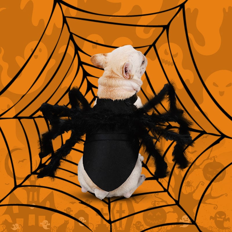 Creative Festival Spider-Shaped Pet Dog Clothes