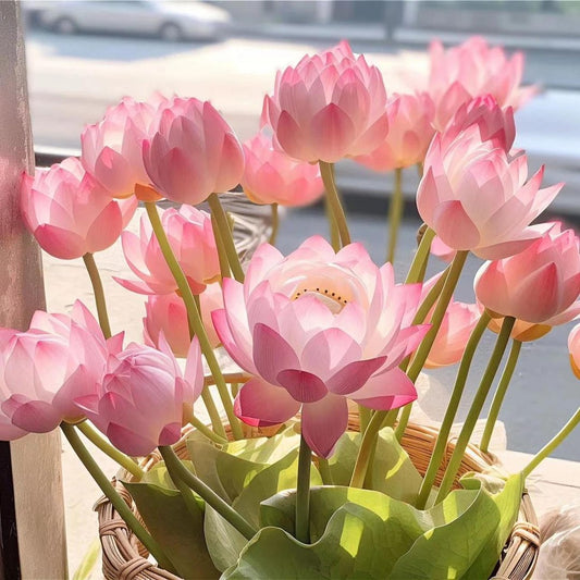 💐The Sacred Bonsai Bowl Lotus Flower