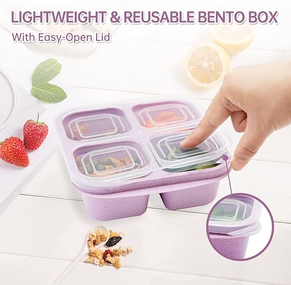 🔥 HOT SALE 🔥 - Bento Lunch Box