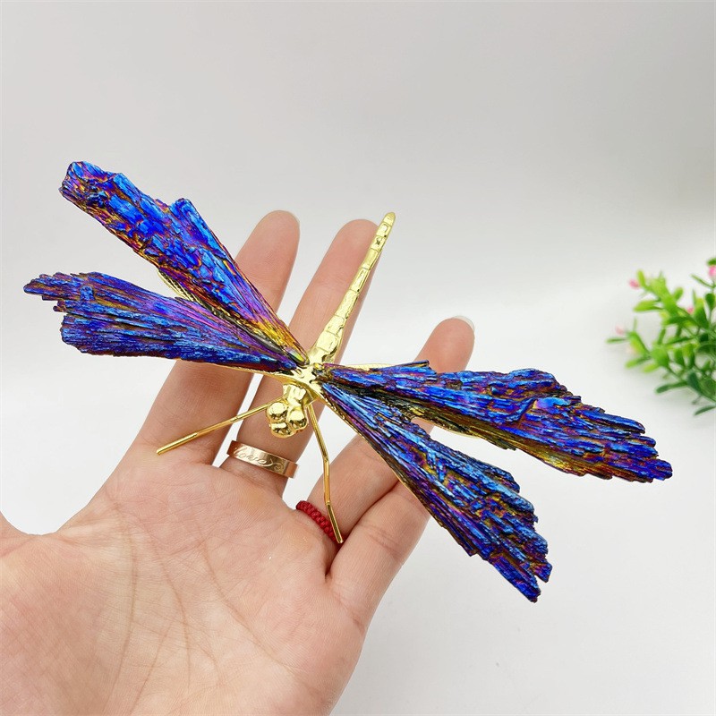 AURA TOURMALINE KYANITE DRAGONFLY