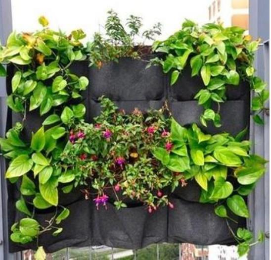 Vertical Hanging Growing Bag