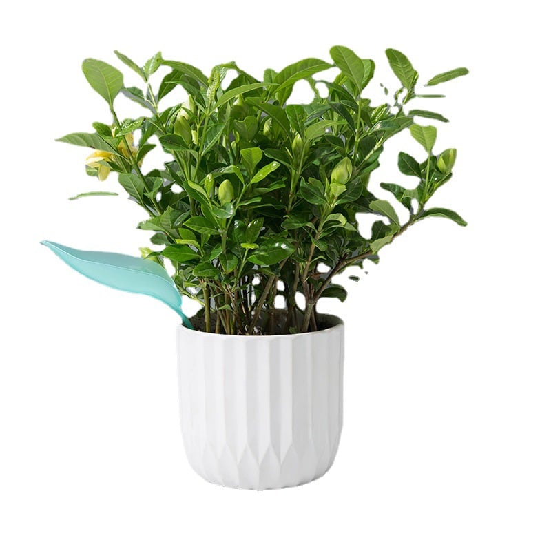 🔥Summer Hot Sale🔥Watering Leaves(BUY 5 GET 5 FREE)