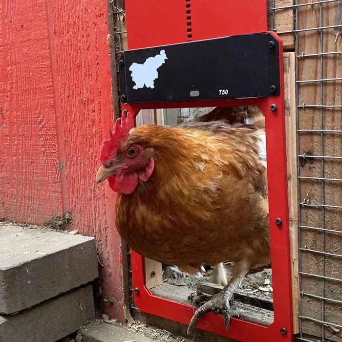 🎉Automatic Chicken Coop Door